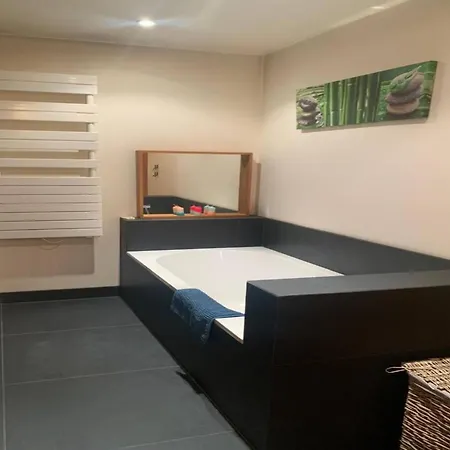 Duplex De 85m Terrasse 50m Saint-Maurice (Val-de-Marne)